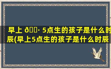早上 🌷 5点生的孩子是什么时辰(早上5点生的孩子是什么时辰出生)